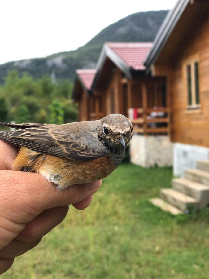 Orahovo Cottages Virpazar Eksteriør billede